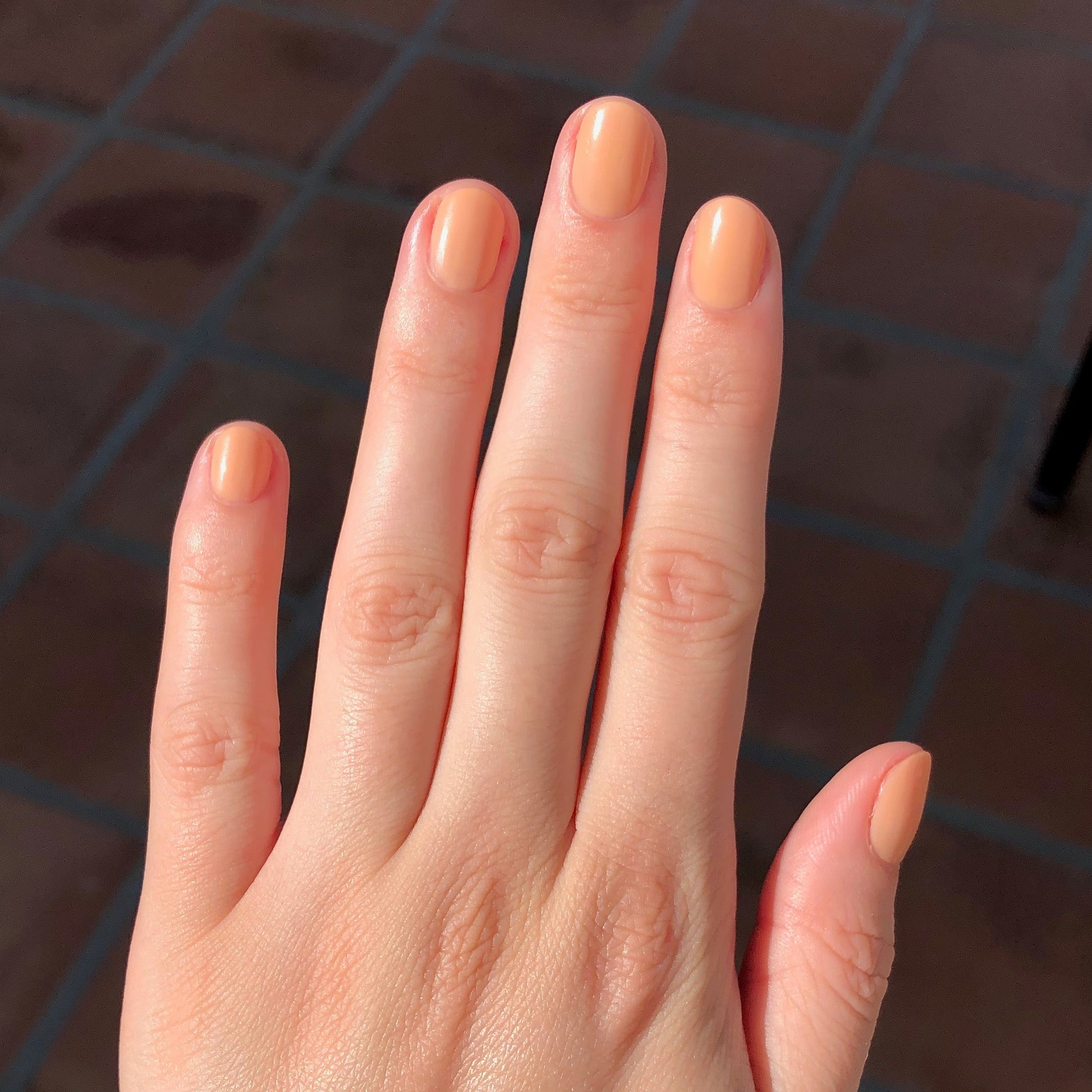 JO、mySite、solidvoid