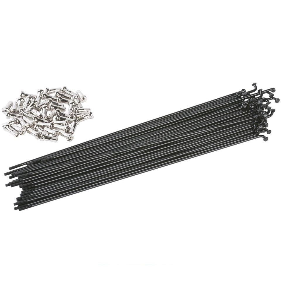  Odyssey Spokes、mySite、merchandisen