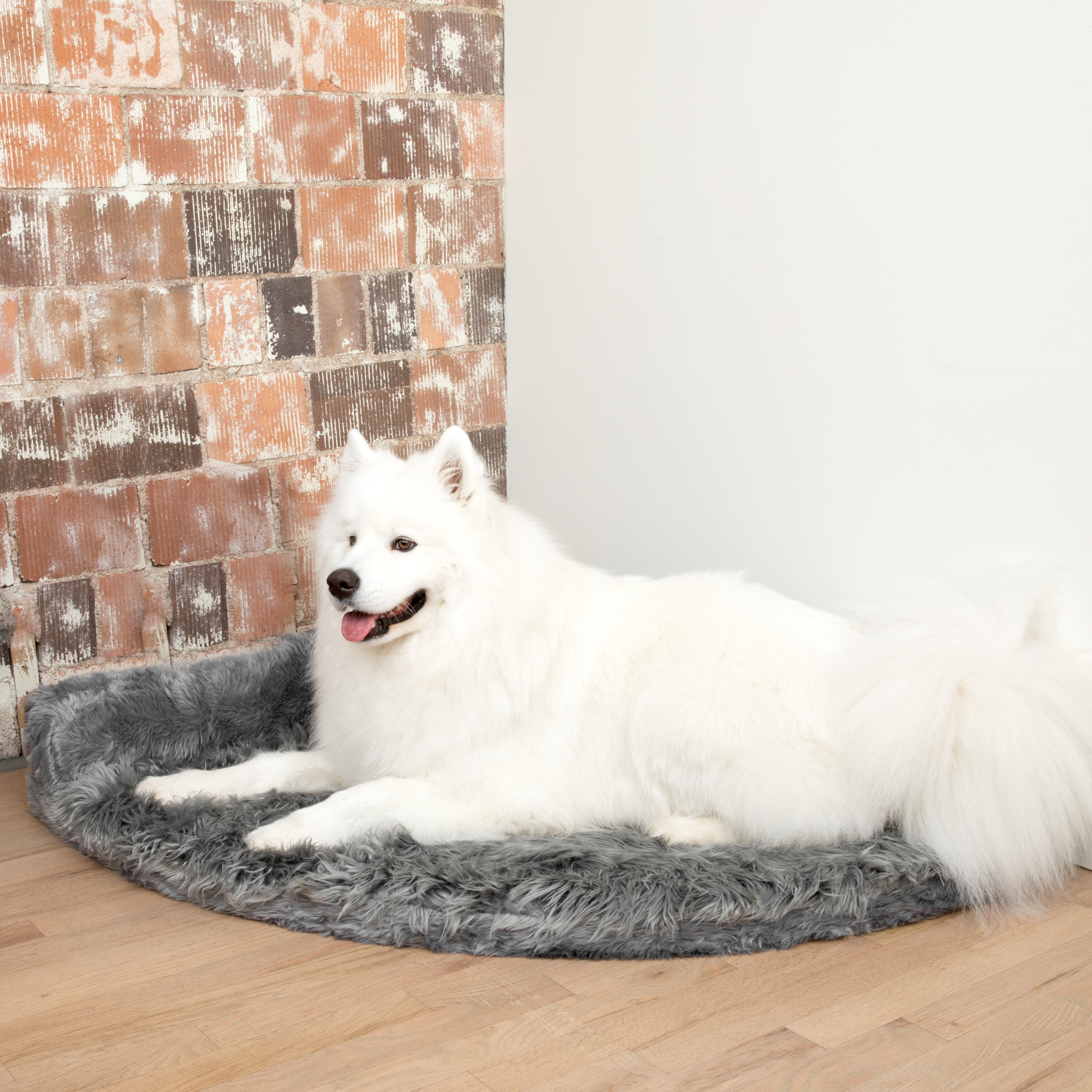 PupRug™ Memory Foam Corner Dog Bed - Charcoal Grey、mySite、solidvoid