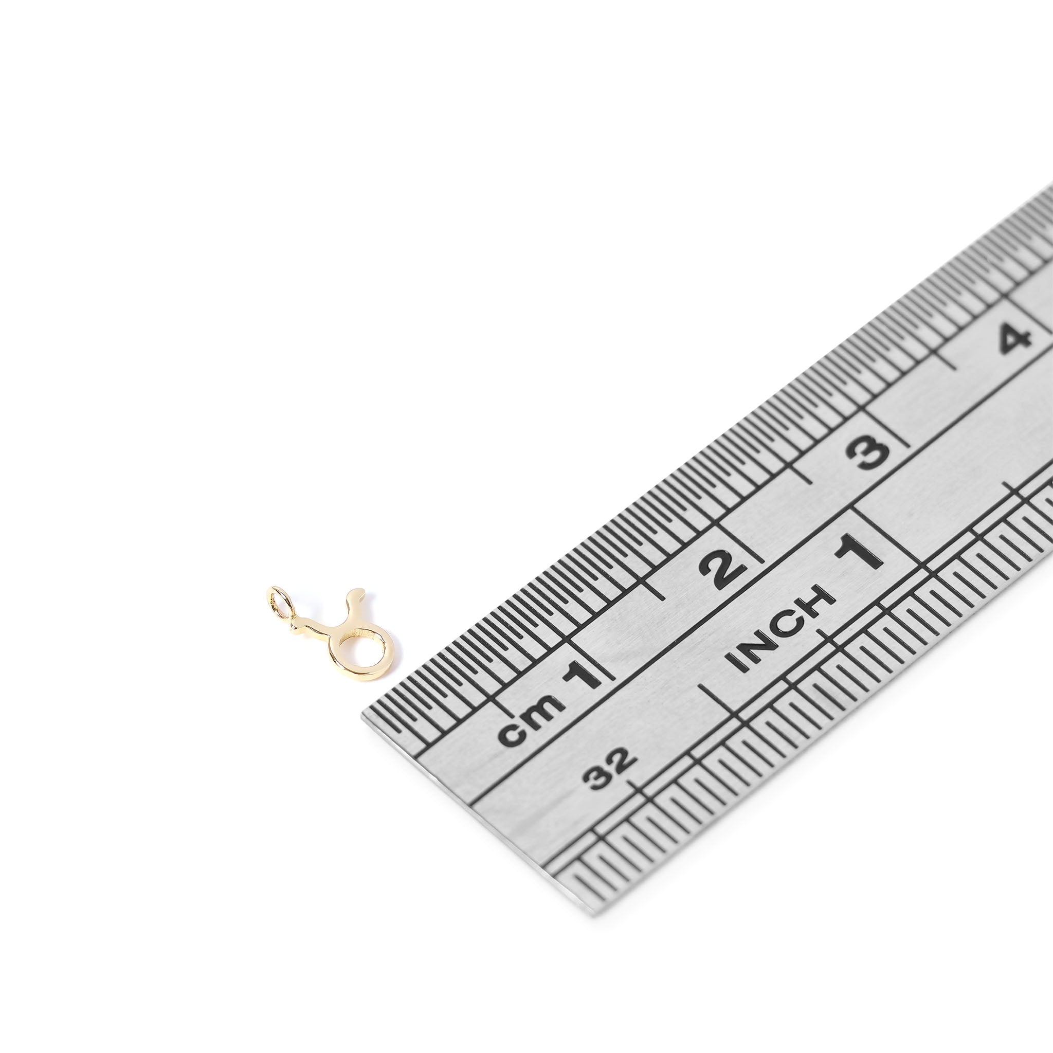 Permanent Jewelry 14K Solid Gold Zodiac Charms / PMJ1017、mySite、dreamappss