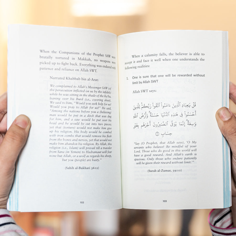 Finding Beauty in the Storm、mySite、topwebapps