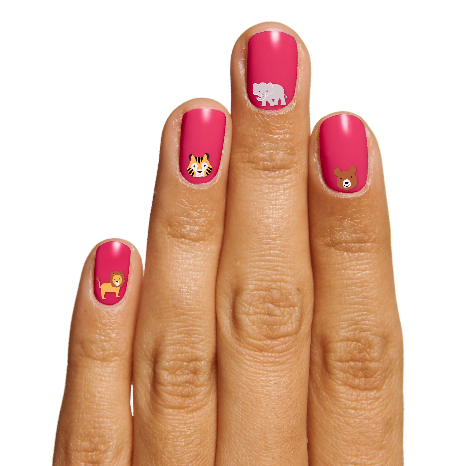 Furry Friends、mySite、solidvoid