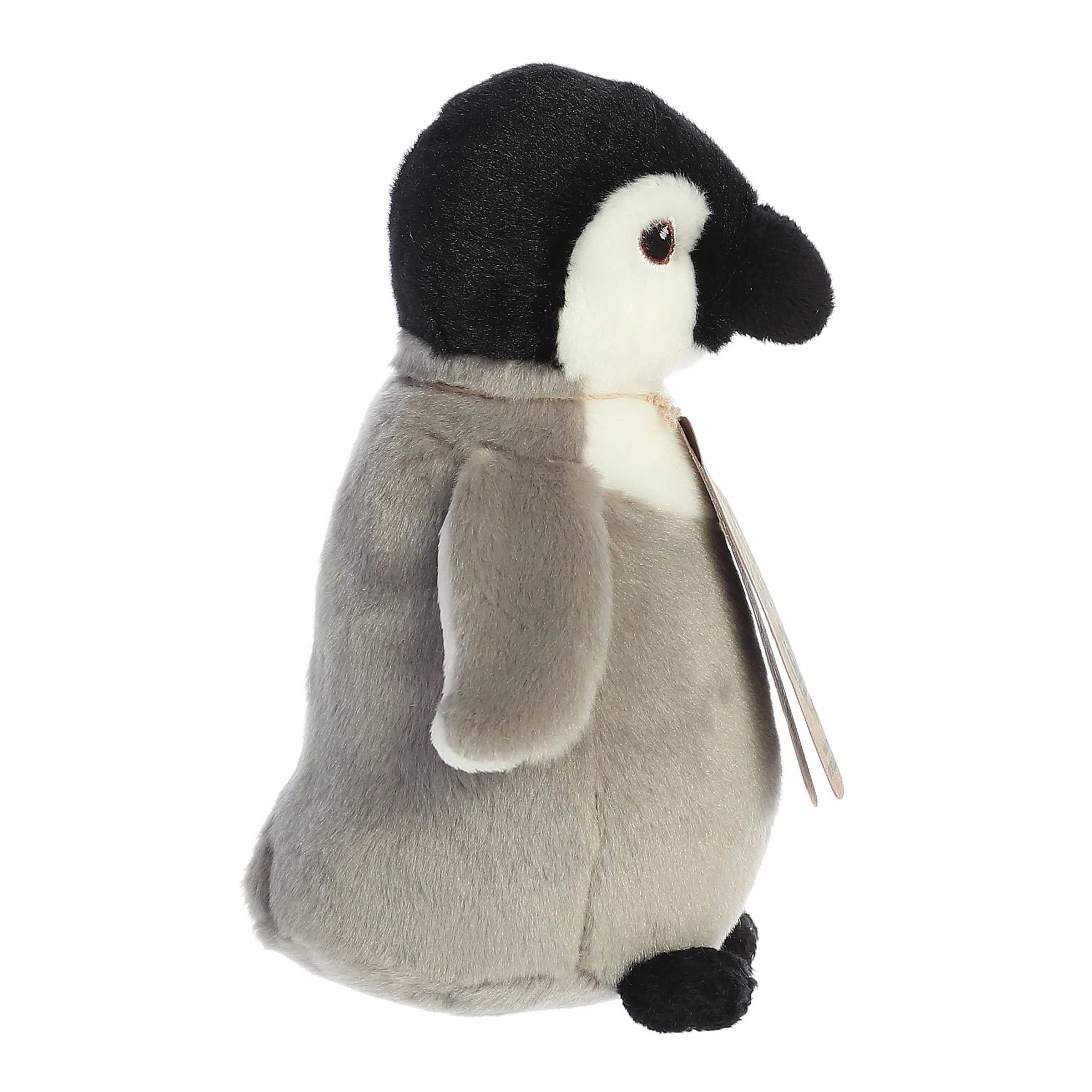 Aurora® - Eco Nation™ - Eco Softies™ - 8 Baby Emperor Penguin、mySite、g9winljtr