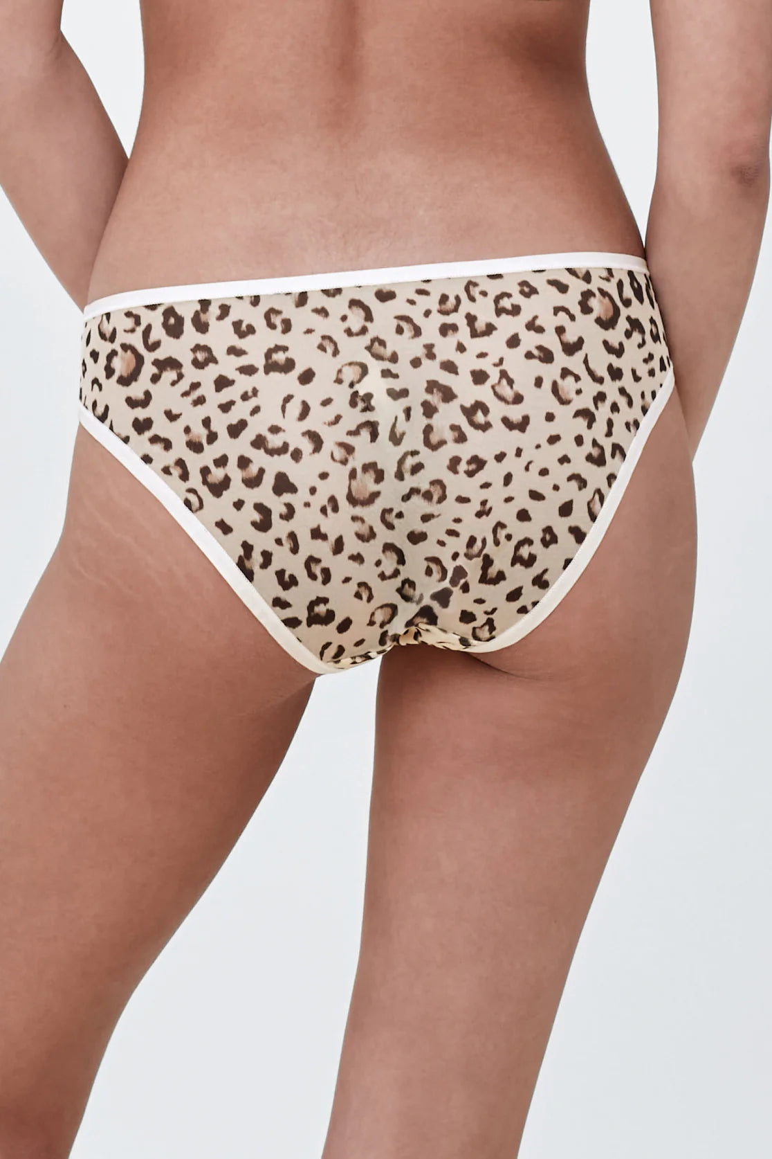  Spellbound brief、mySite、sugarbowlscore