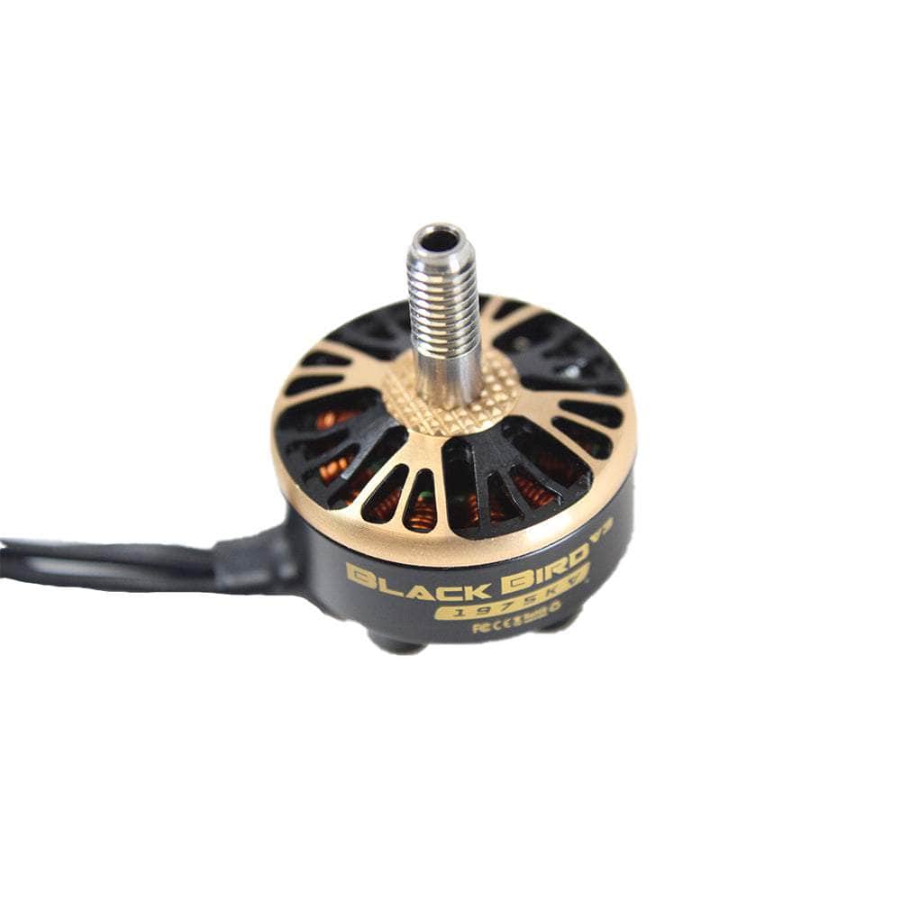  AxisFlying Blackbird V3 2207 1975Kv Motor、mySite、merchandisen