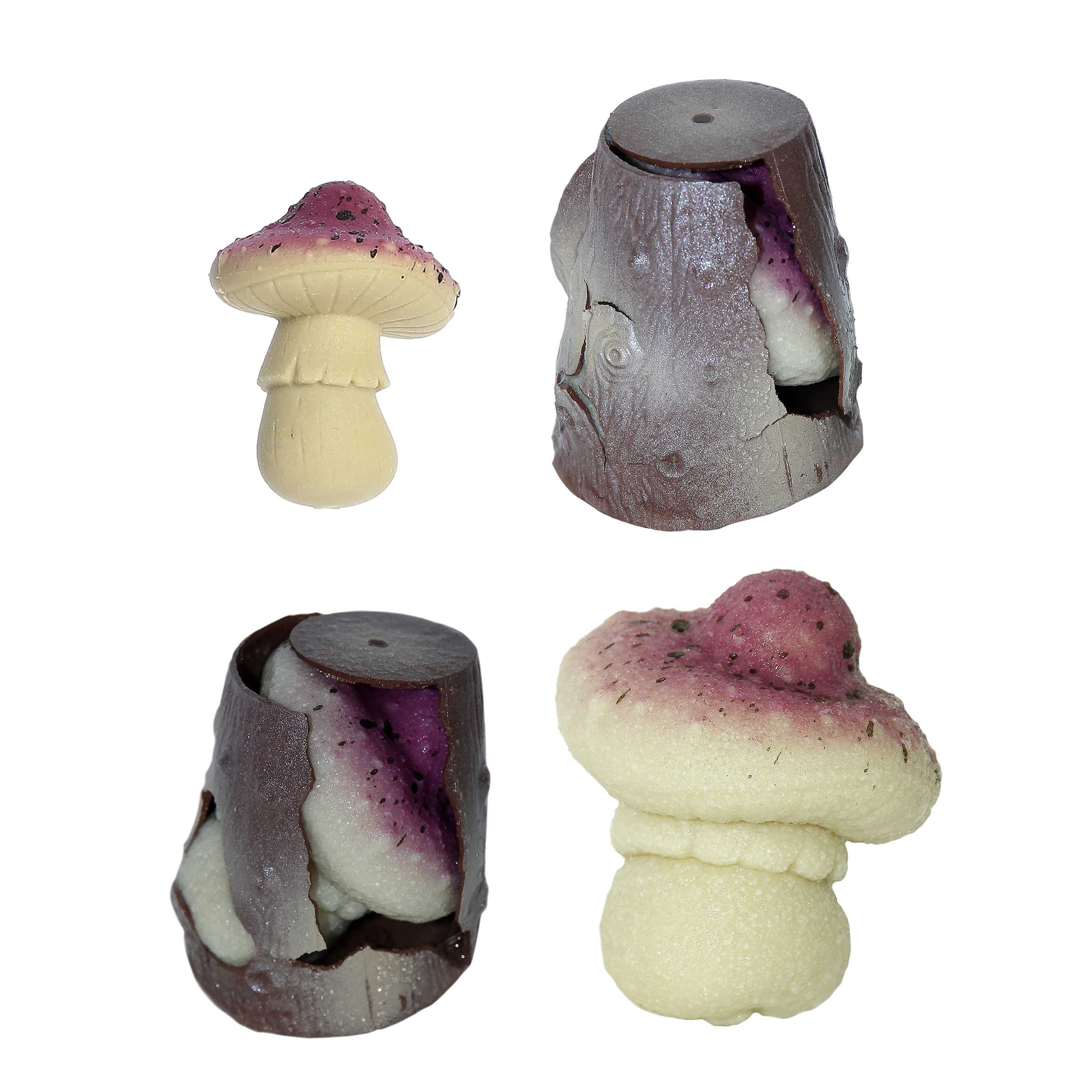 Aurora® Toys - 2.25 Grow Your Own Mushroom、mySite、g9winljtr