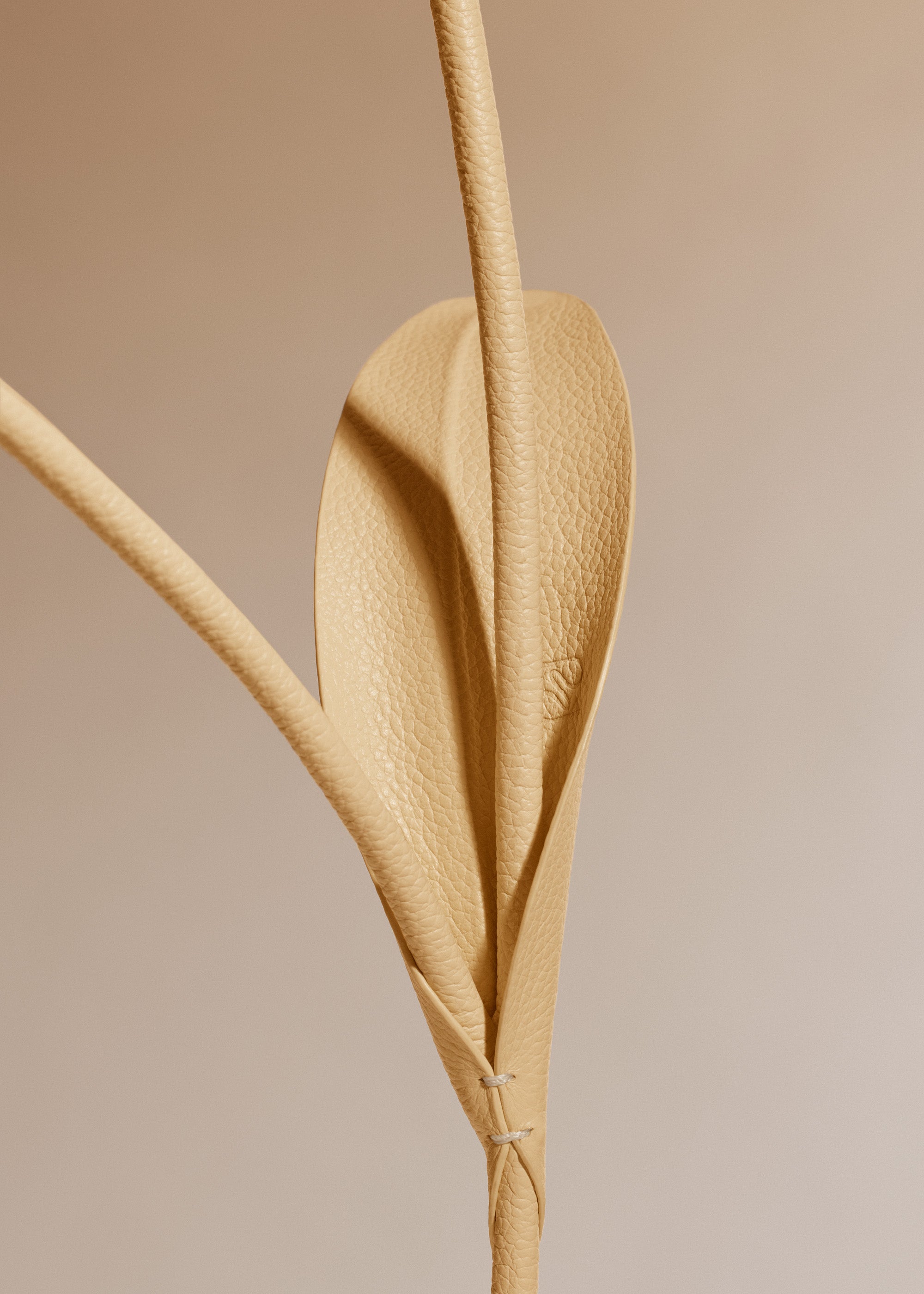 Fleur Tul - Duo Bl茅 Grain茅、mySite、camillekostekn