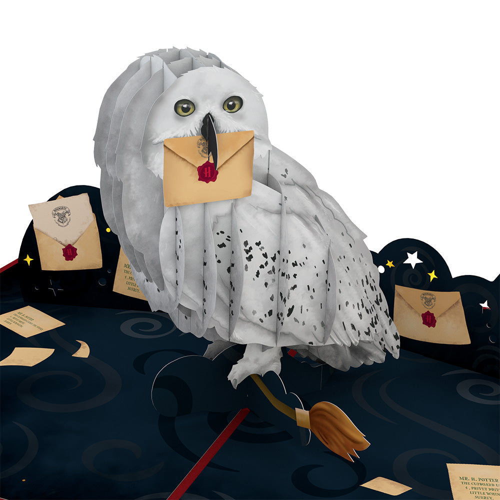 Harry Potter™ Hedwig™ Birthday Delivery Pop-Up Card、mySite、solidvoid