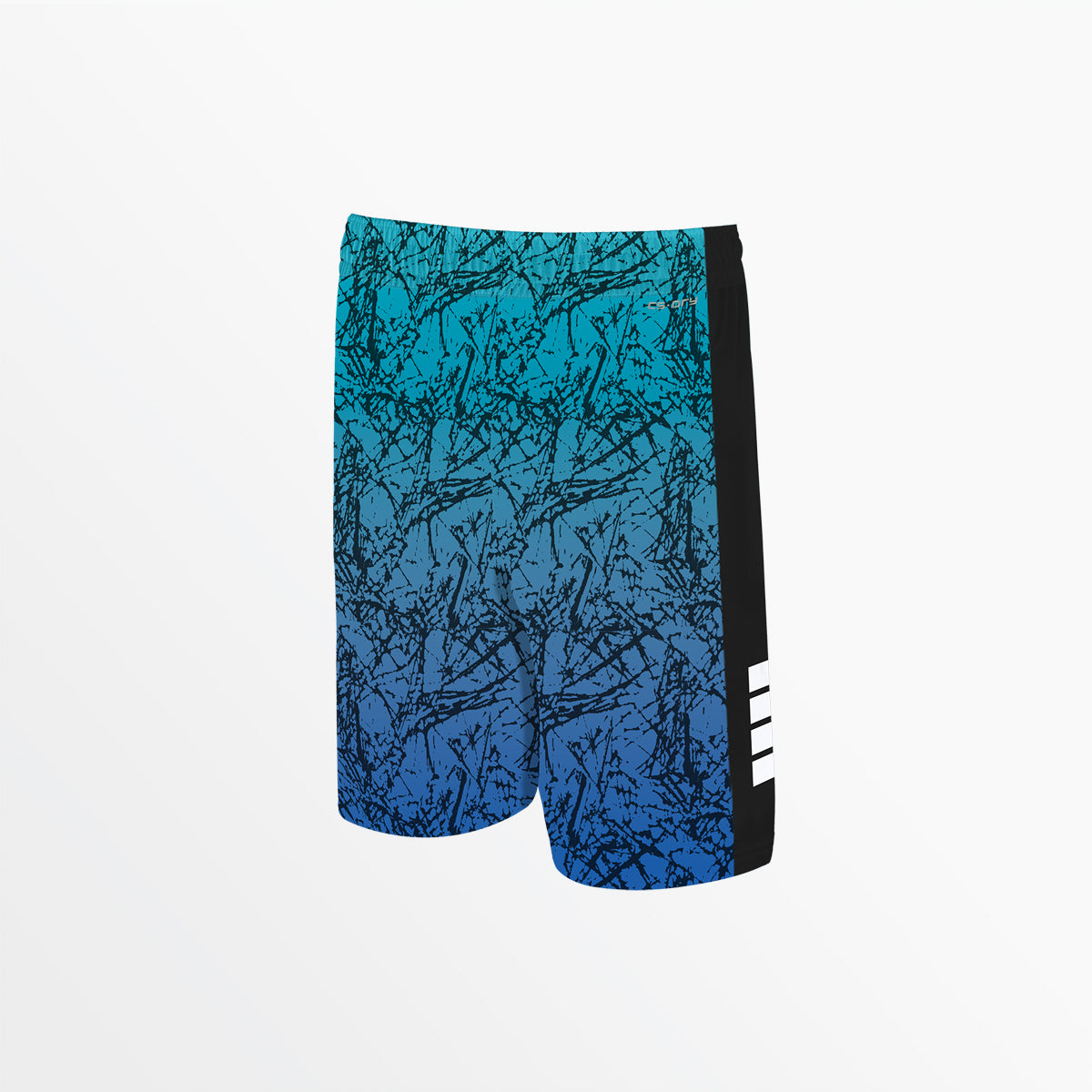 YOUTH DISTRESSED OMBRE LOGO SHORT