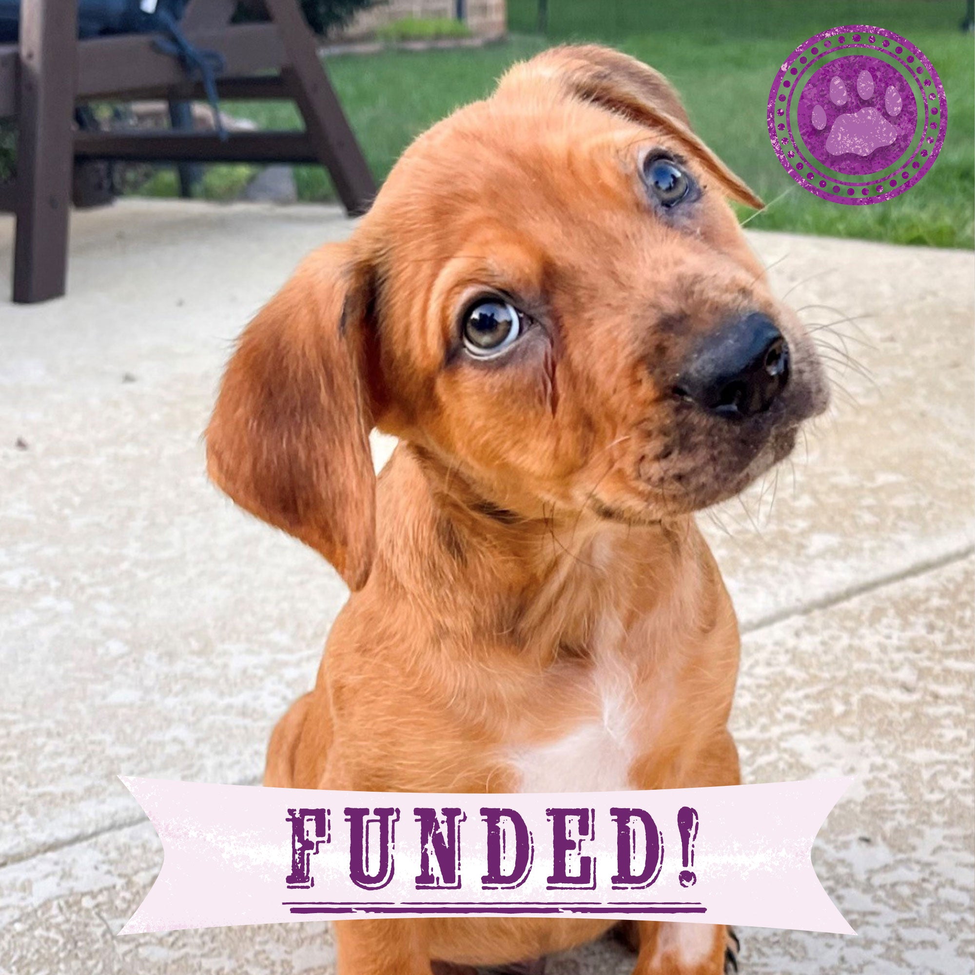 Funded - Give Chance A Chance: Fund Emergency Blood Transfusion、mySite、camillekostekn