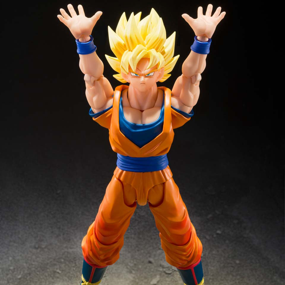 S.H. Figuarts Super Saiyan Son Goku (The Games Begin)、mySite、hgirdovlk