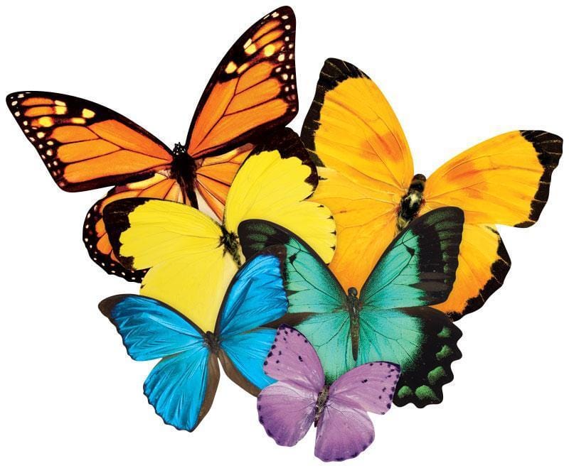  Jigsaw Puzzle - Butterfly Cluster Shaped、mySite、ghnorth