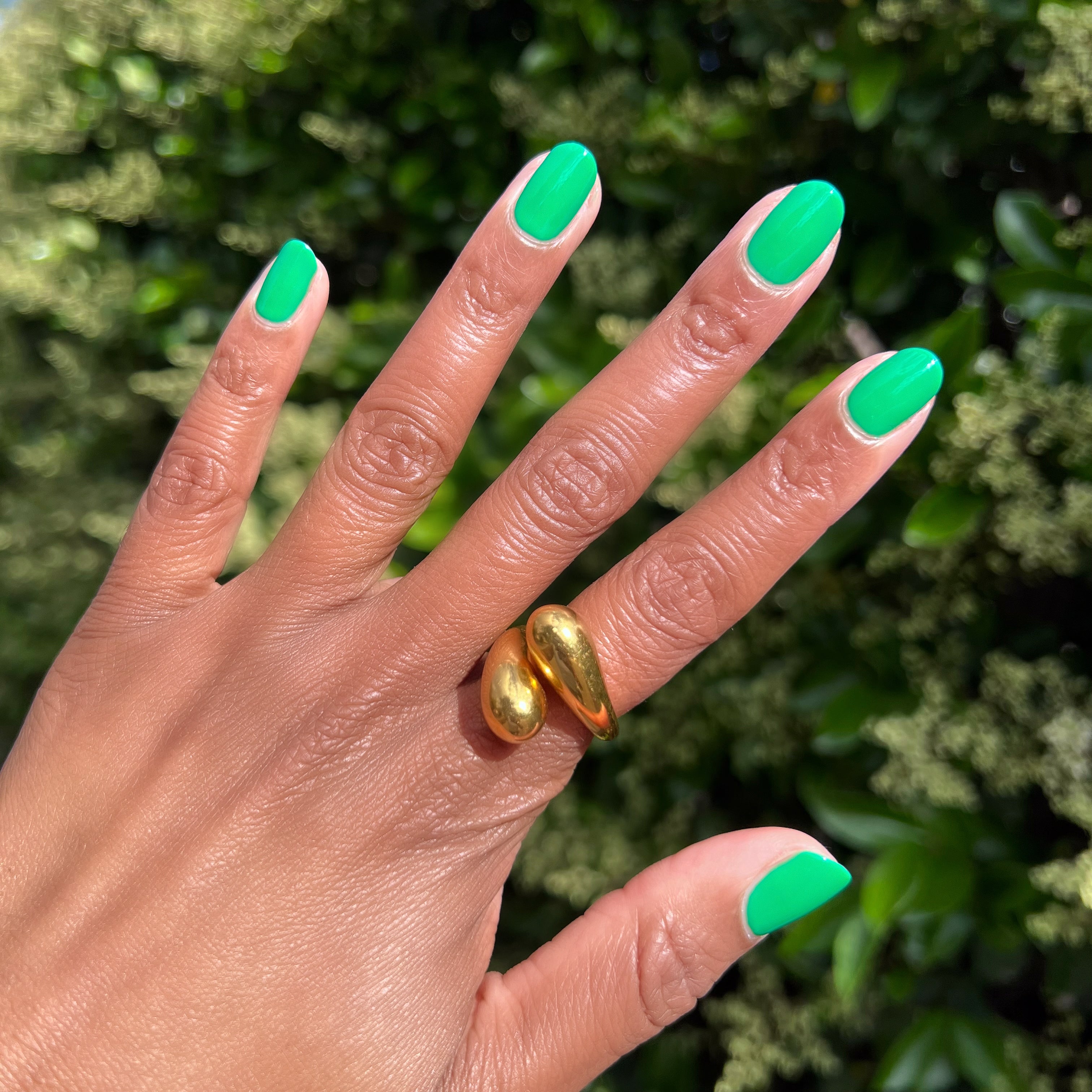 Bocce Ball、mySite、solidvoid