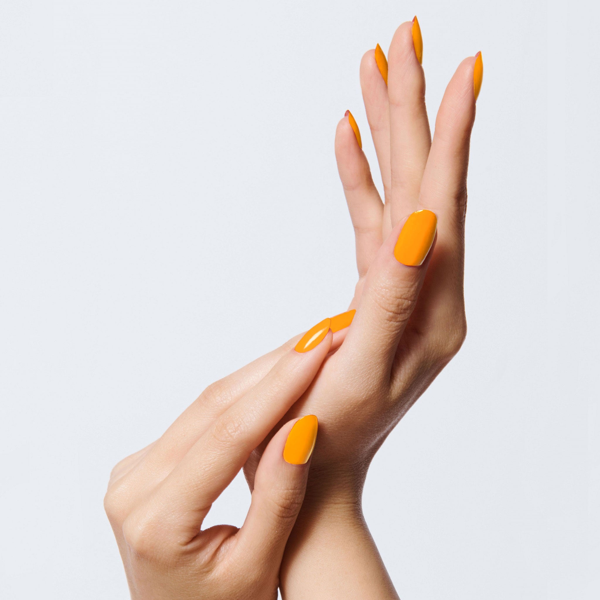 Sweet & Gracious - Part of Set、mySite、solidvoid