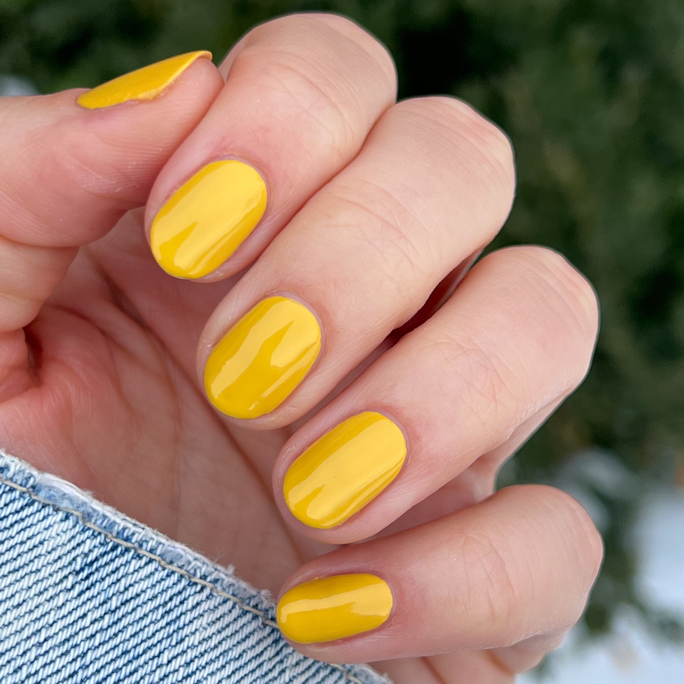 Golden Afternoon、mySite、solidvoid