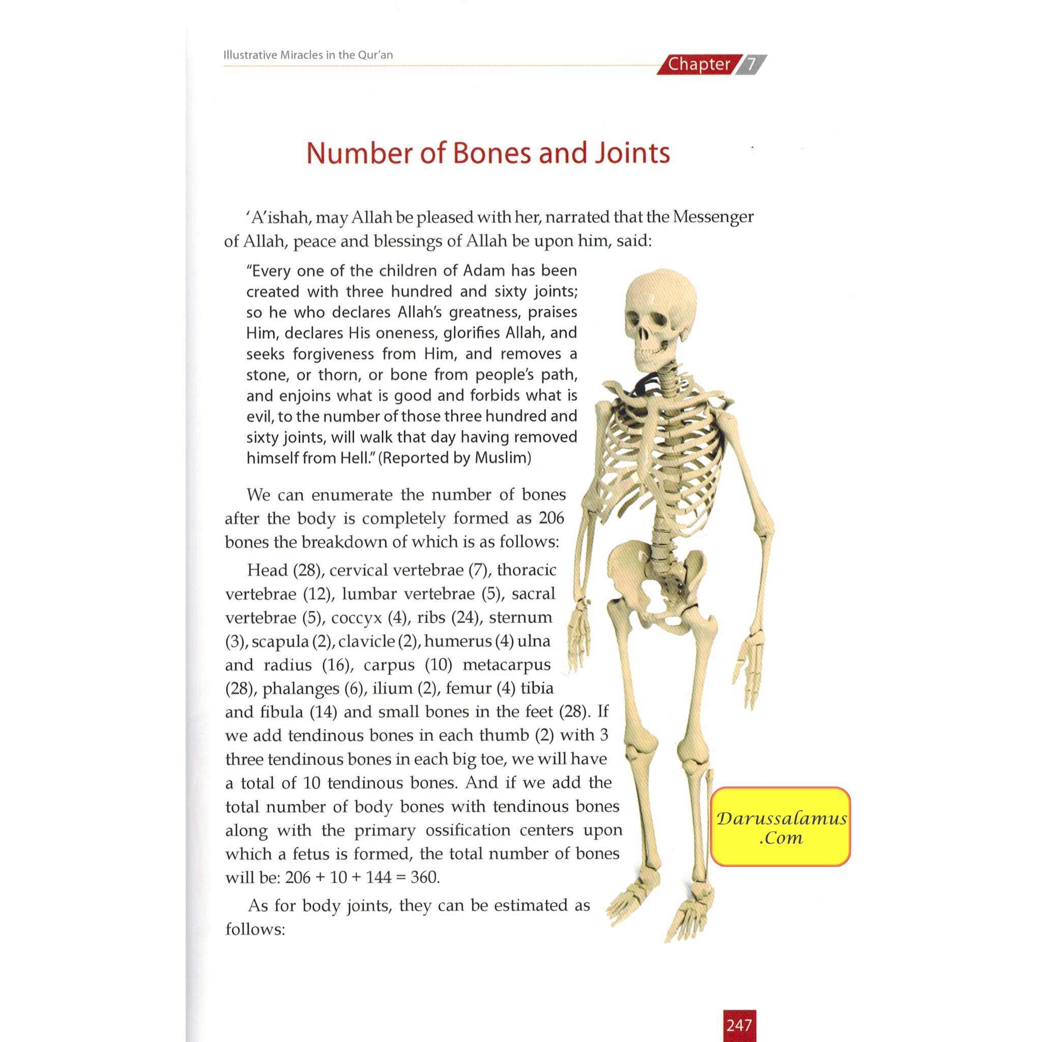 The Unchallengeable Miracles of the Quran By Yusuf Al-Hajj Ahmad、mySite、topwebapps