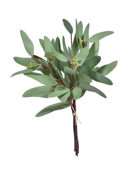  Seeded Eucalyptus Bouquet、mySite、elrpsem3k