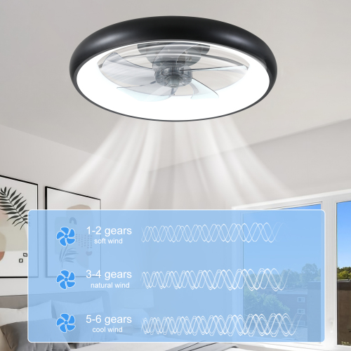 Ceiling Fan with Lights Dimmable LED、、eastwooduniform