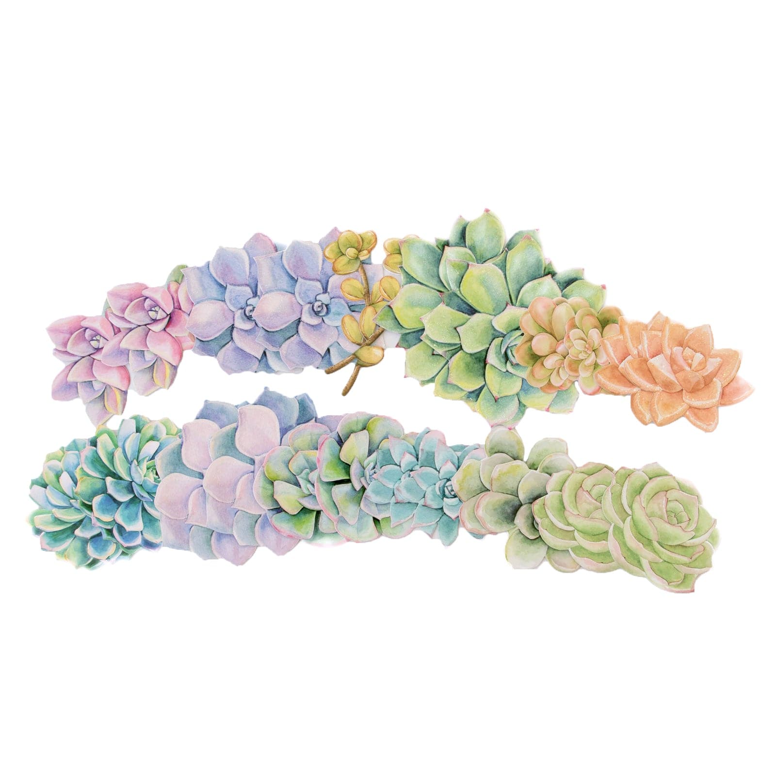  Scrapbook Stickers - Succulents Die Cut Sticker Pack、mySite、ghnorth