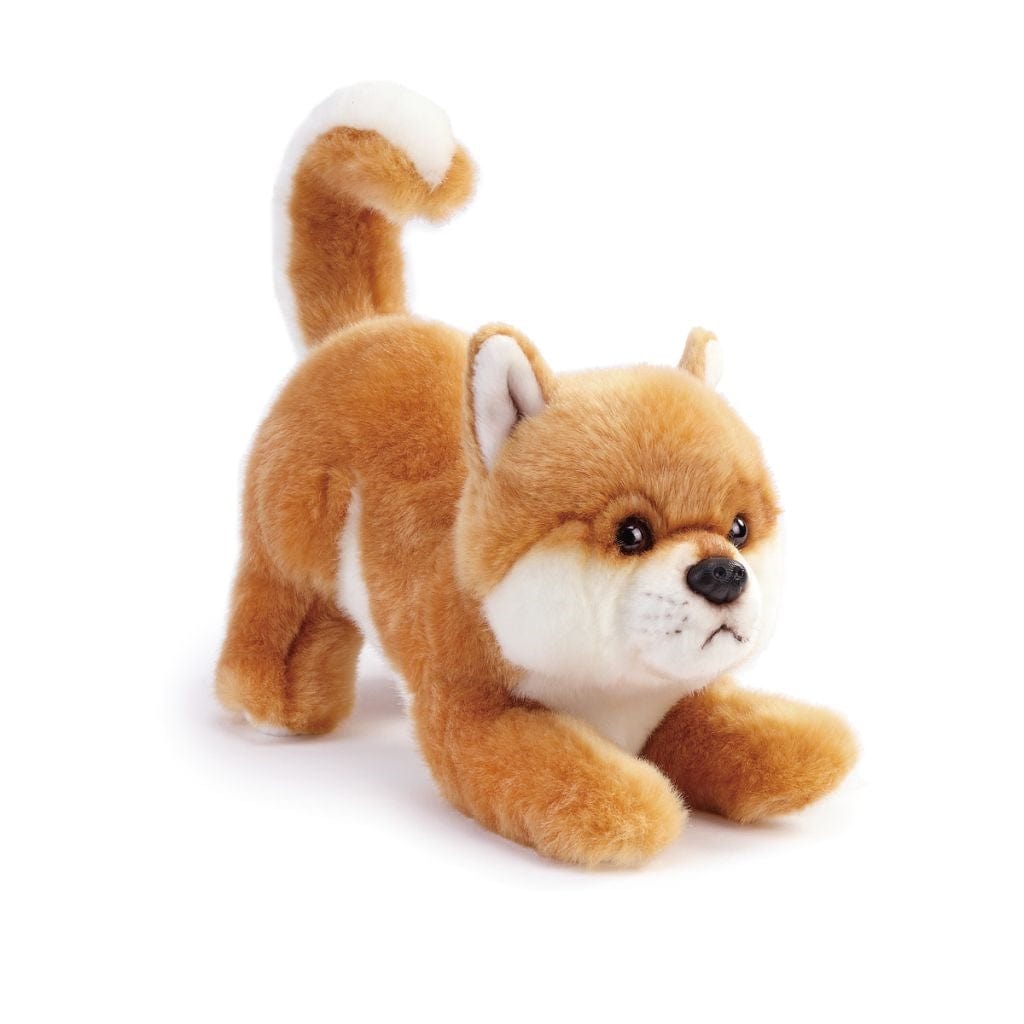 Plush Dogs: Bernese, Dalmatian, Husky, Shiba Inu, Chow, Dobie, Rottie、mySite、g9winljtr