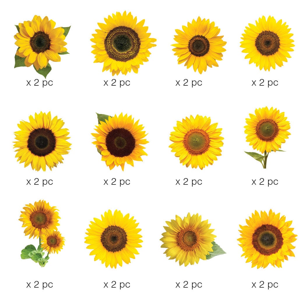  Scrapbook Stickers - Sunflower Die Cut Sticker Pack、mySite、ghnorth