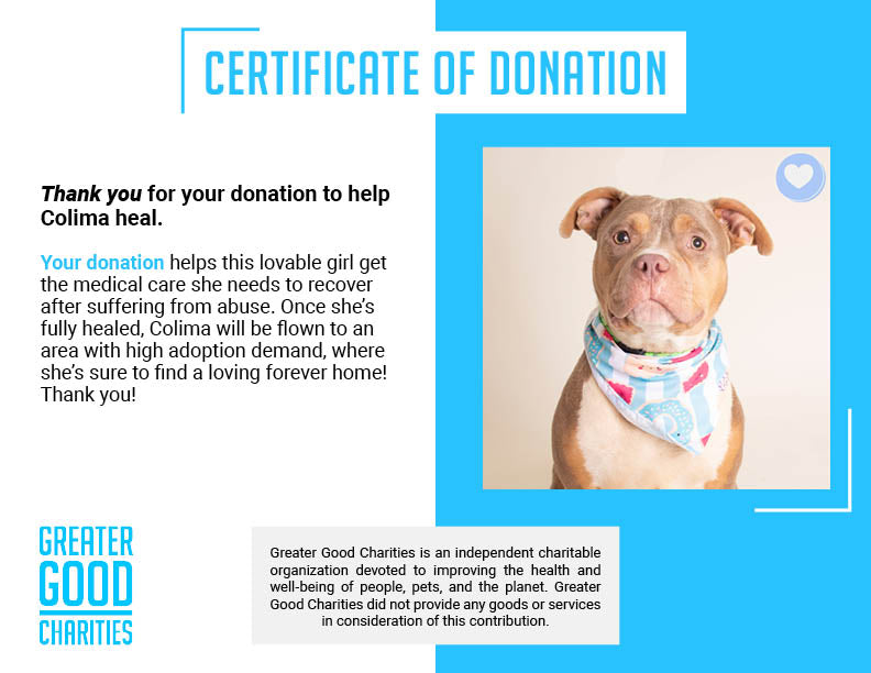 Funded - Help Colima Heal After Trauma & Abuse、mySite、camillekostekn