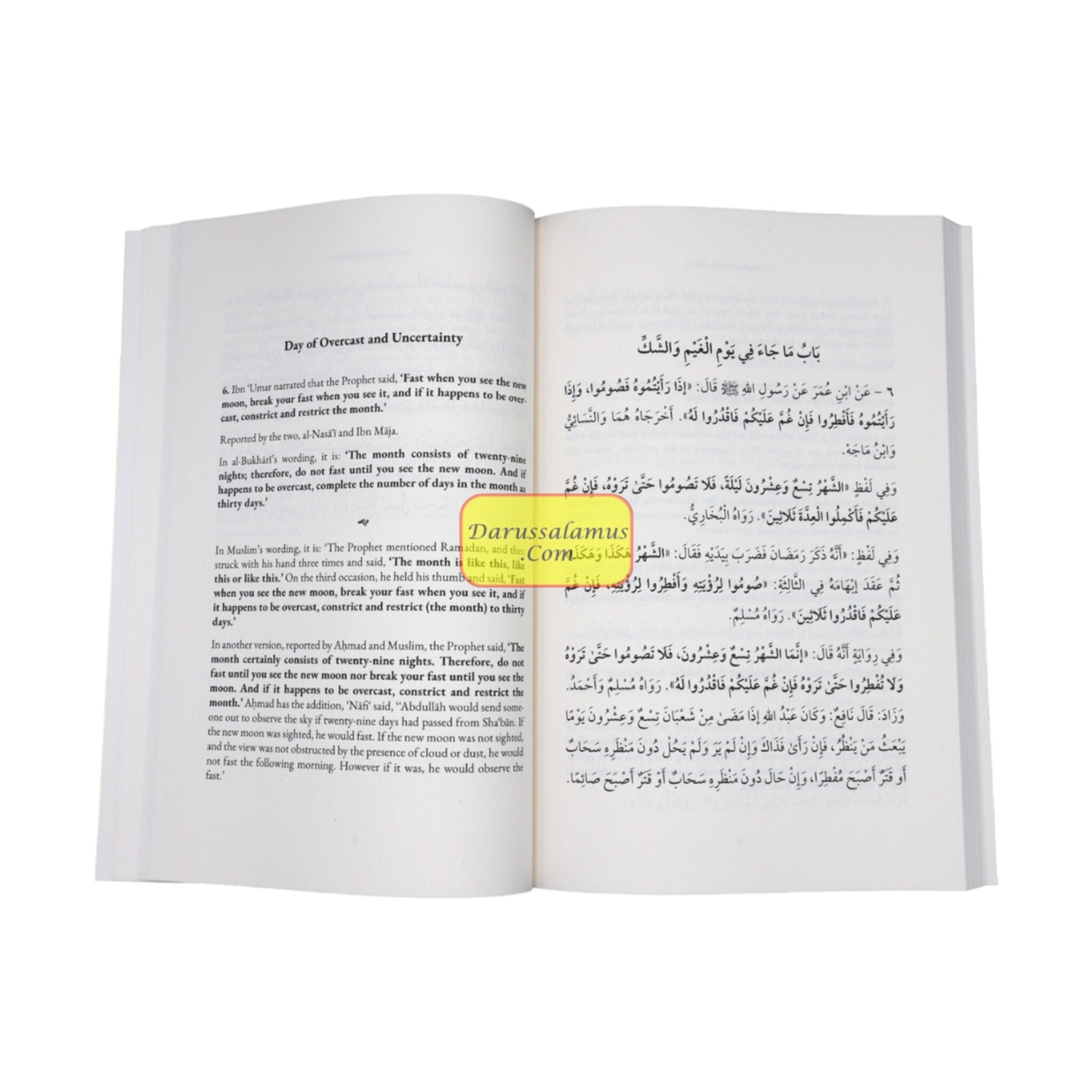 Fasting And I'tikaf、mySite、topwebapps