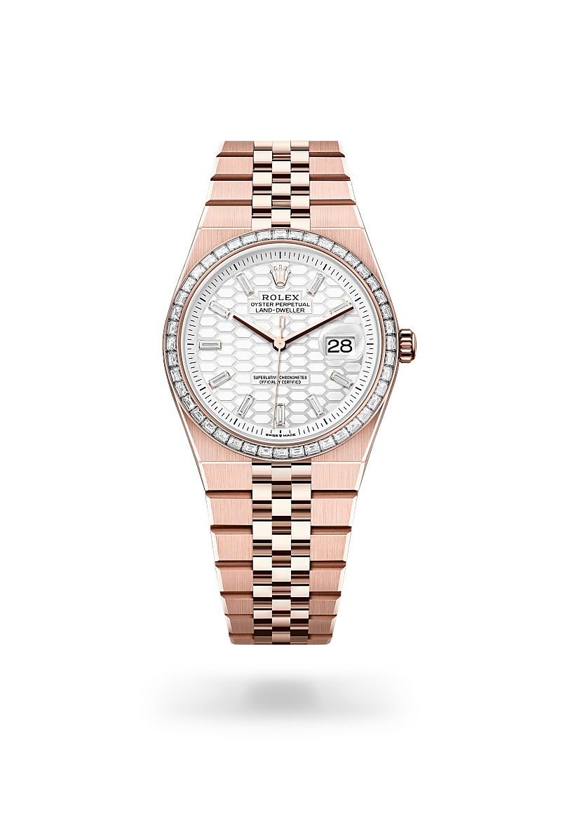 Rolex Land-Dweller 36 in 18 kt Everose gold, M127285TBR-0002 | Blakemans Jewelry、mySite、hinf8tx79