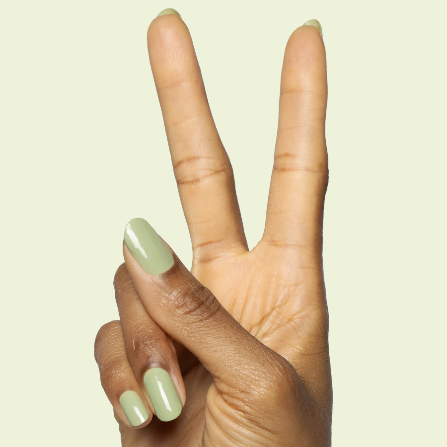 Meadow、mySite、solidvoid