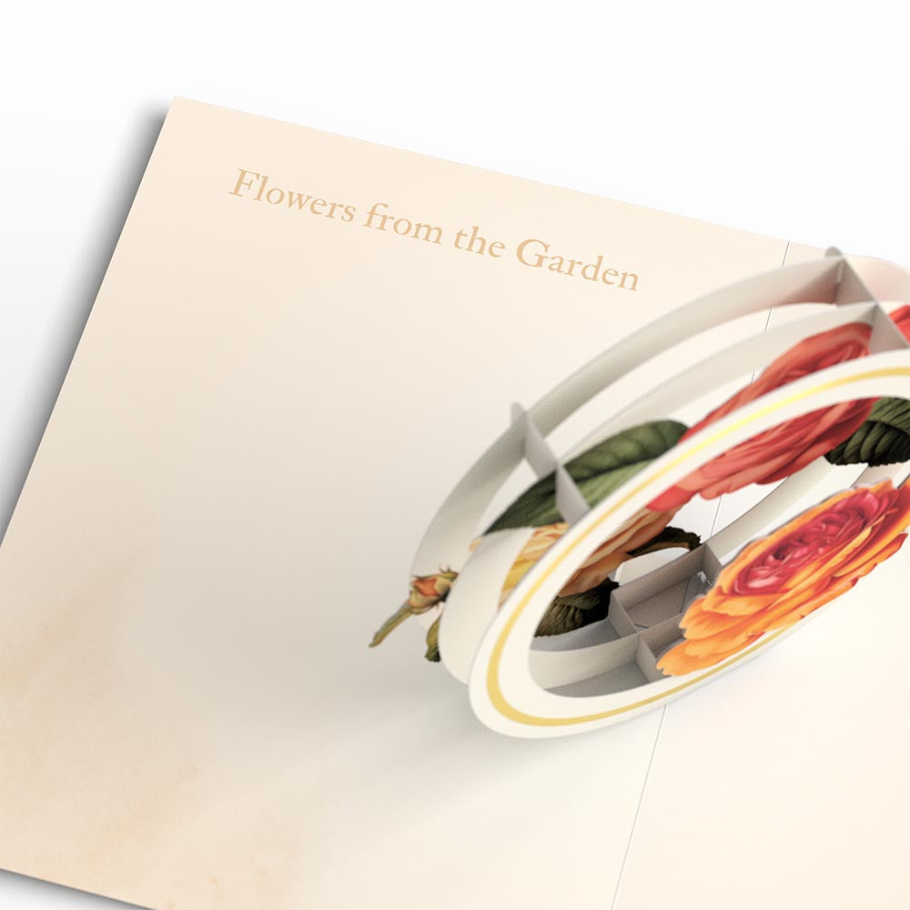 Beautiful Botanicals Box Set (Assorted 12-Pack): Paperpop® Card、mySite、solidvoid