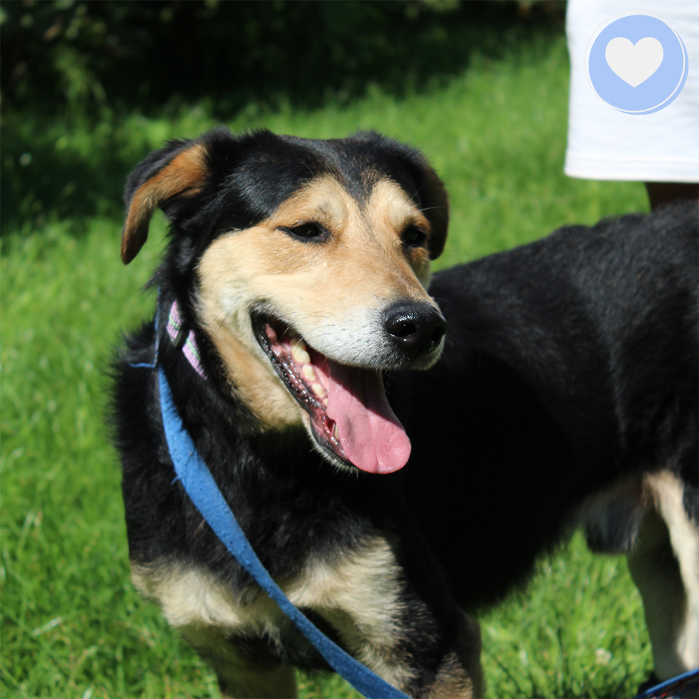 Funded: Bonnie Needs Support After Devastating Injury、mySite、camillekostekn