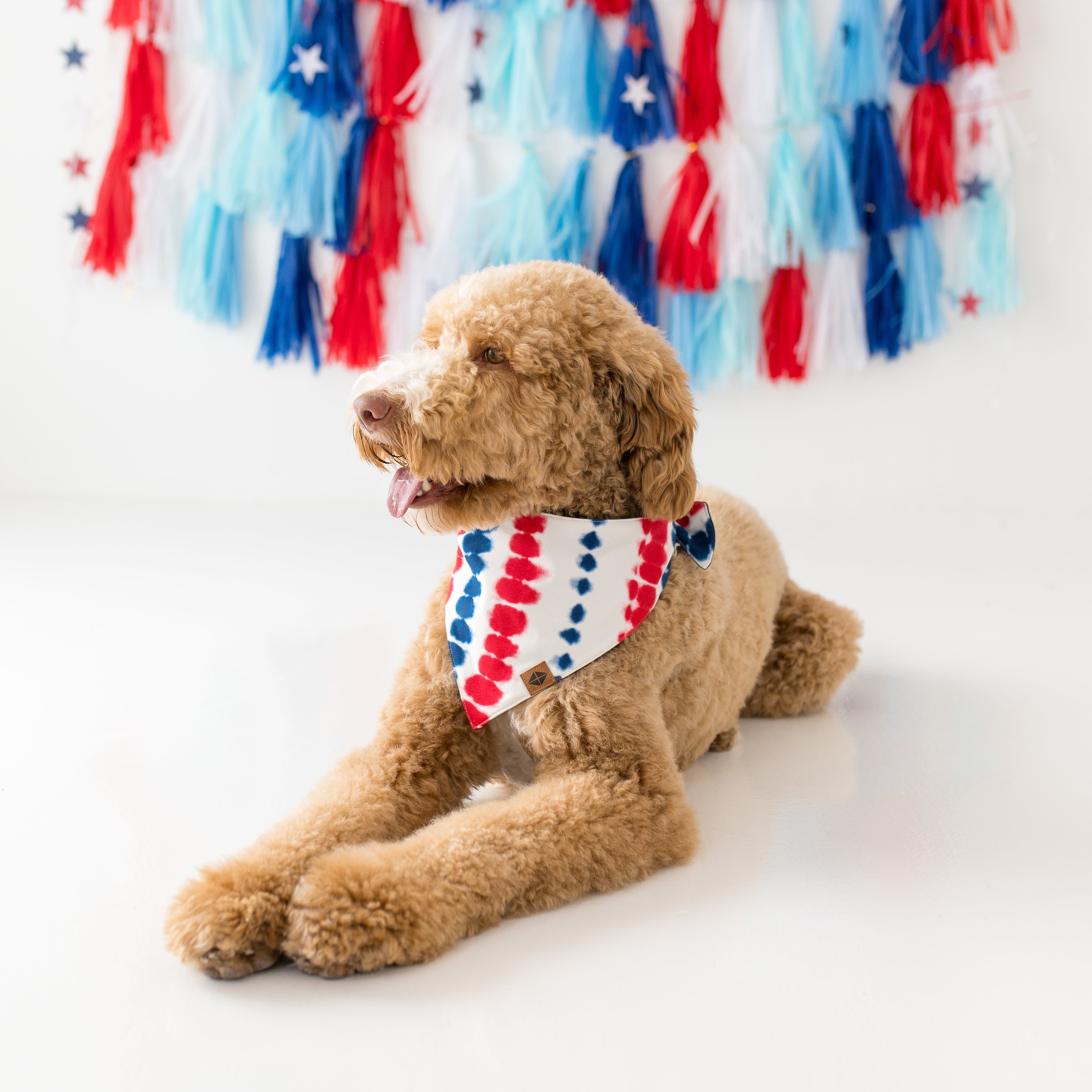  Dog Bandana in Liberty Rip Tide、mySite、layawaytickets