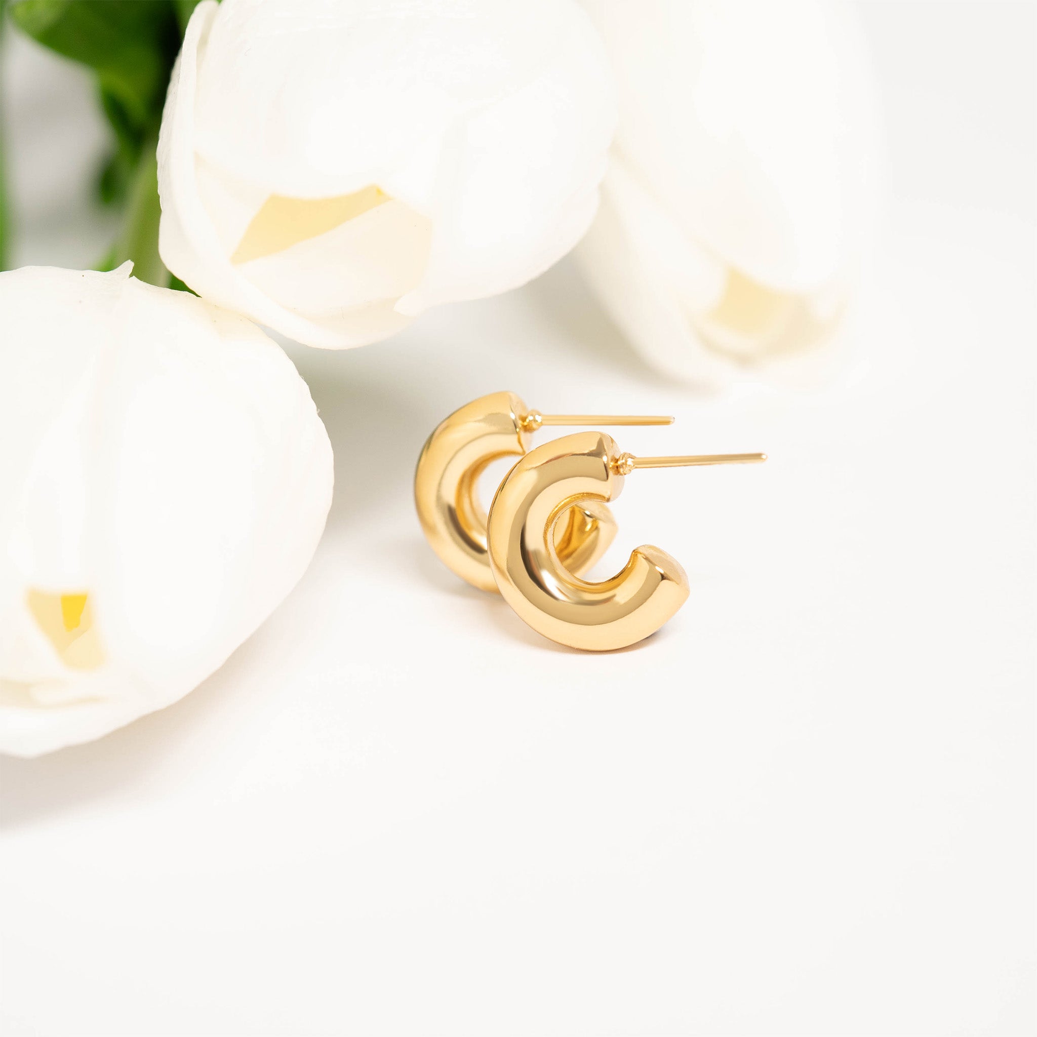 18K Gold PVD Stainless Steel Chunky Huggie Hoop Earring / ERJ0047、mySite、dreamappss