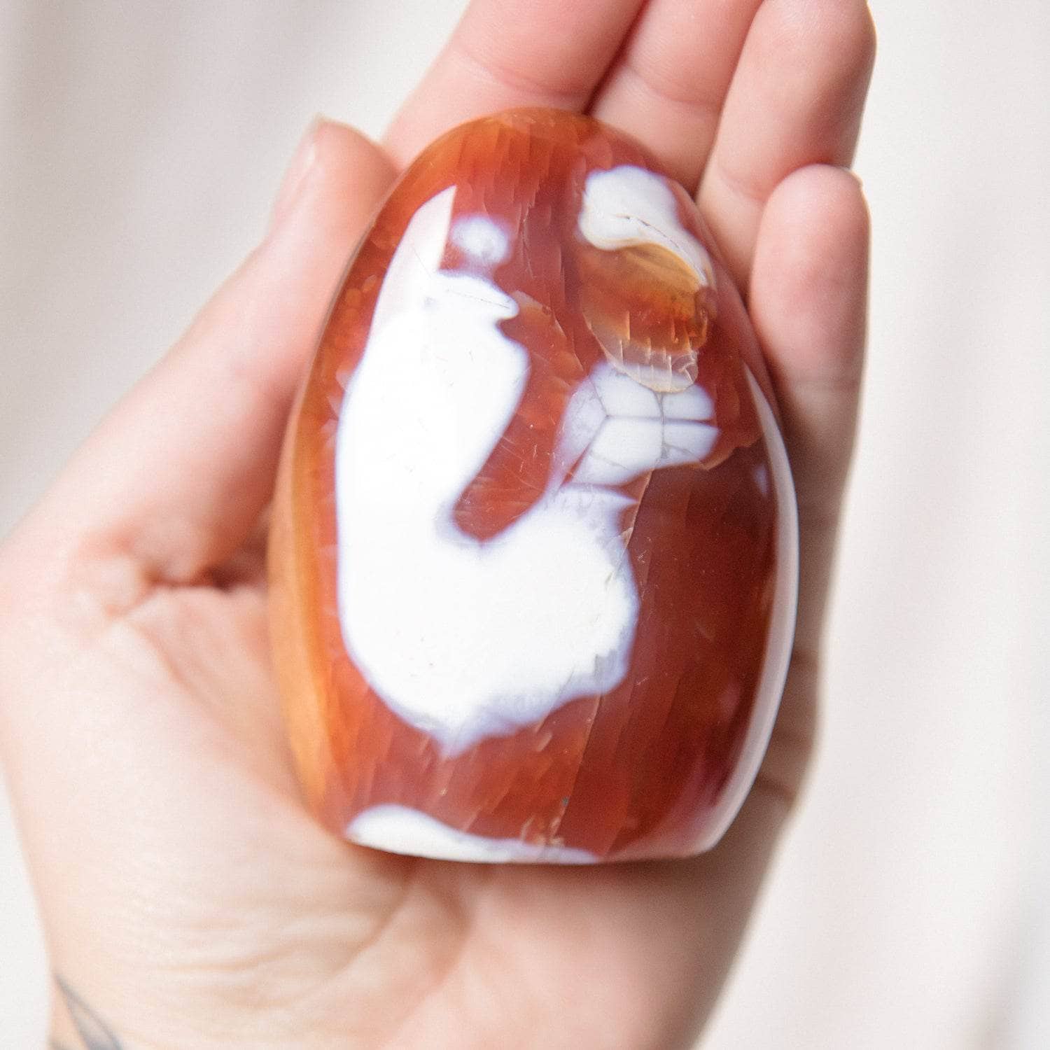 Carnelian Freeform Crystals、mySite、hinf8tx79