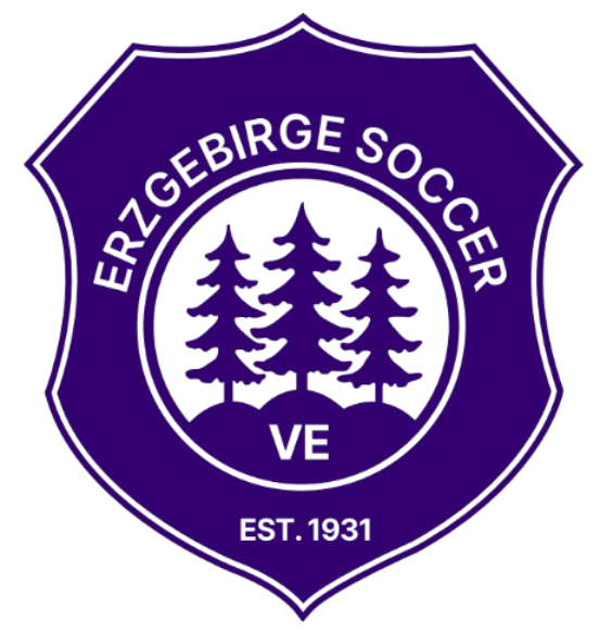 VE CREST FF - PUR - VE14、mySite、noshort