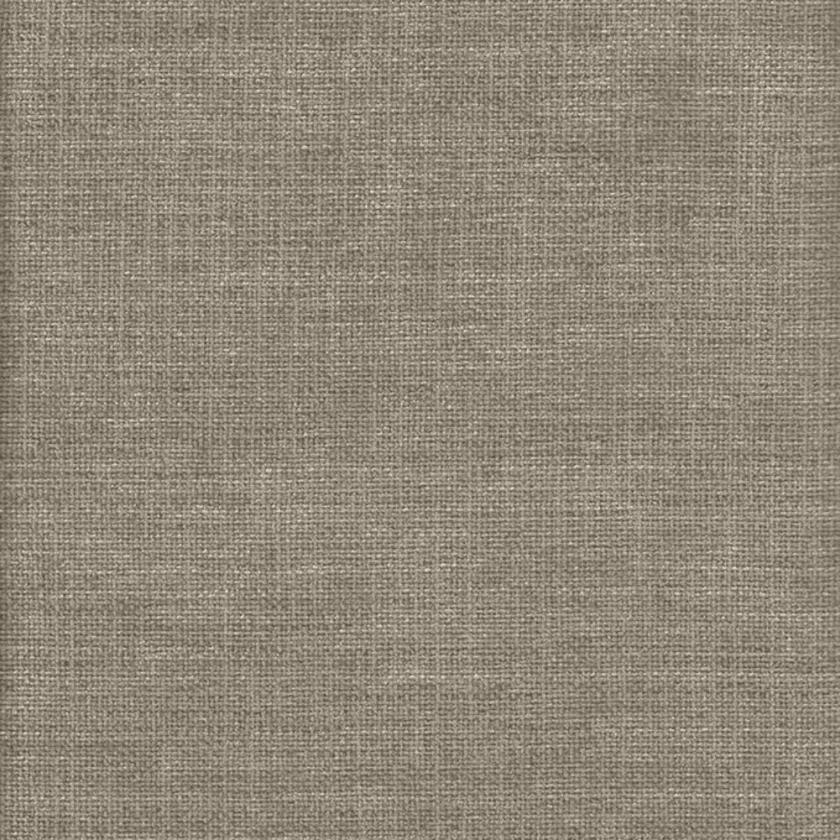 Grade A: Club CL008、mySite、neckold