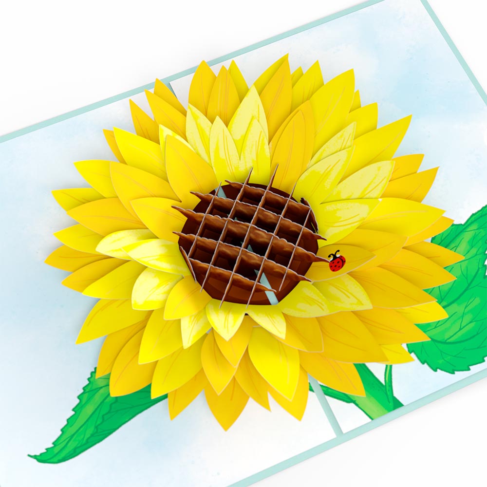 Sunflower Birthday Pop-Up Card and Sentiment Set for Grandmother、mySite、solidvoid