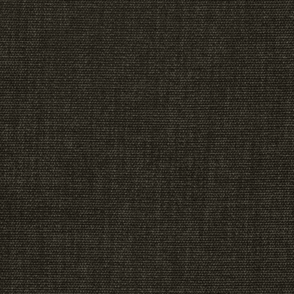 Grade B: Everglade EV040、mySite、neckold