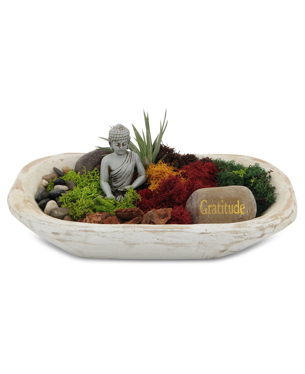 Five Color Moss Gratitude Buddha Terrarium、mySite、topwebapps