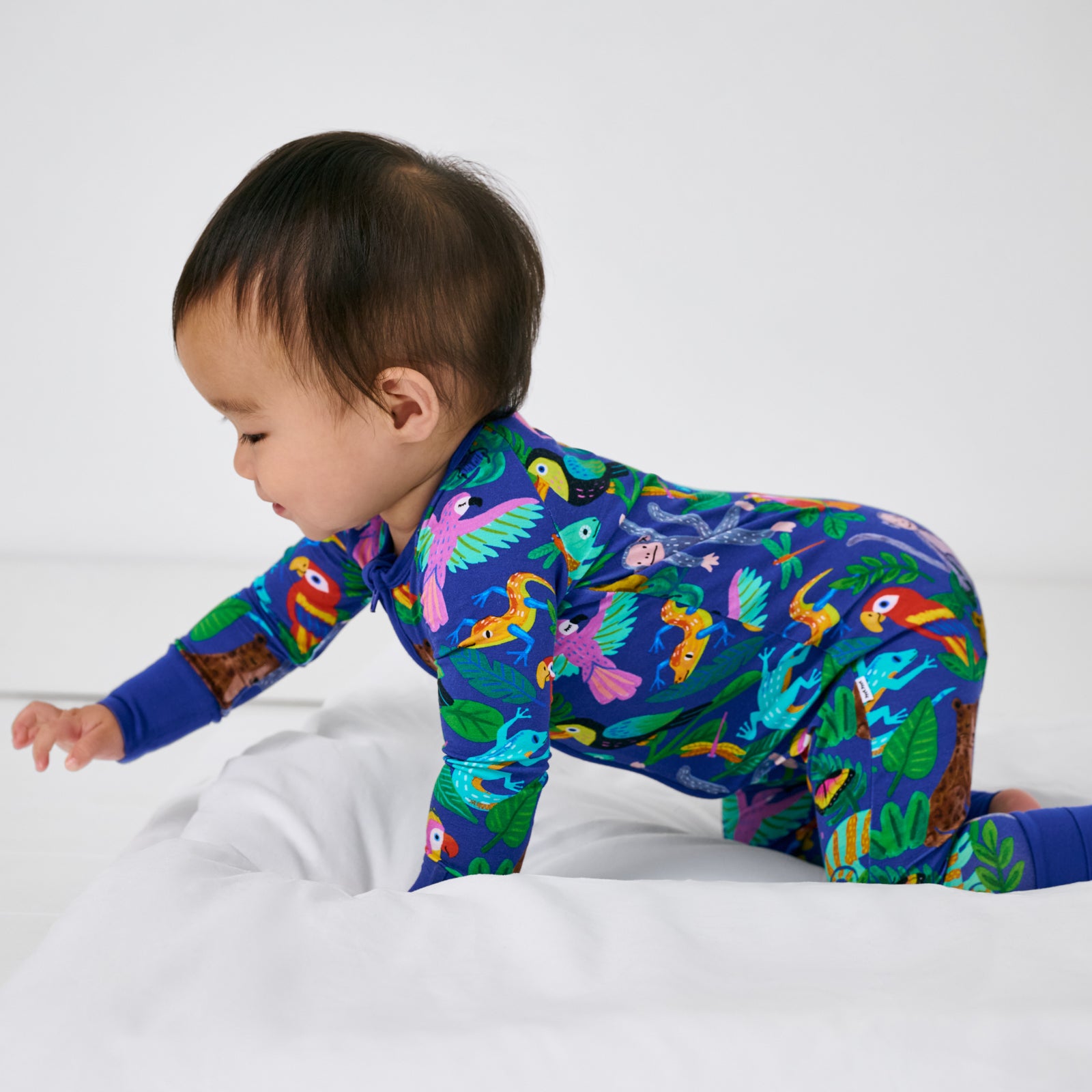  Jungle Jam Zippy、mySite、layawaytickets