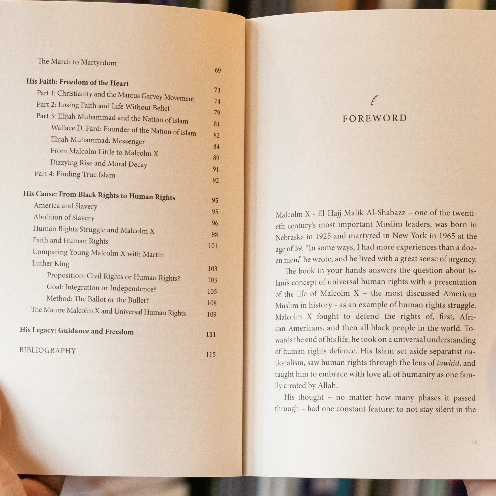 Malcolm X: The Struggle for Human Rights、mySite、topwebapps