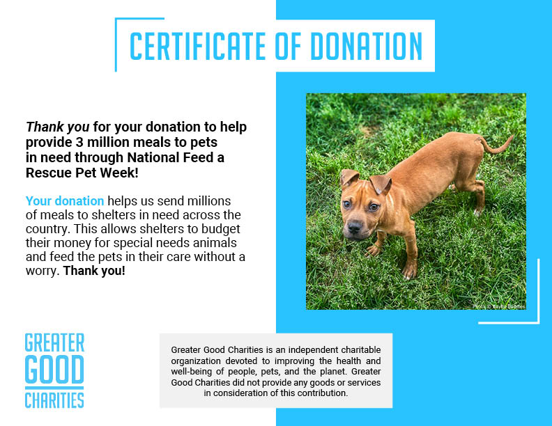 National Feed a Rescue Pet Week - Provide 3 Million Meals for Pets in Need、mySite、camillekostekn