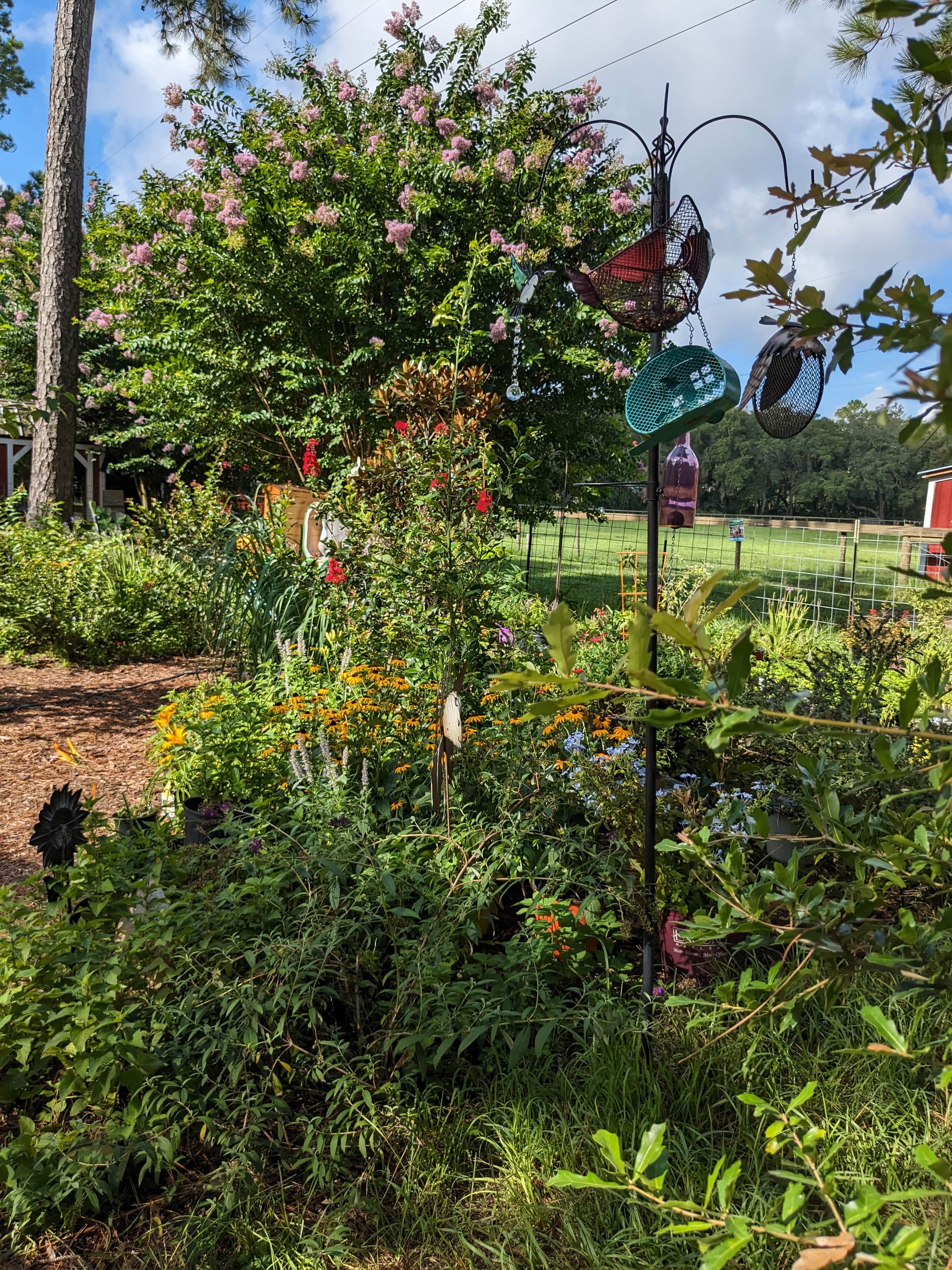 Wedding Ceremony with Rescued Farm Animals & Butterflies!、mySite、g9winljtr