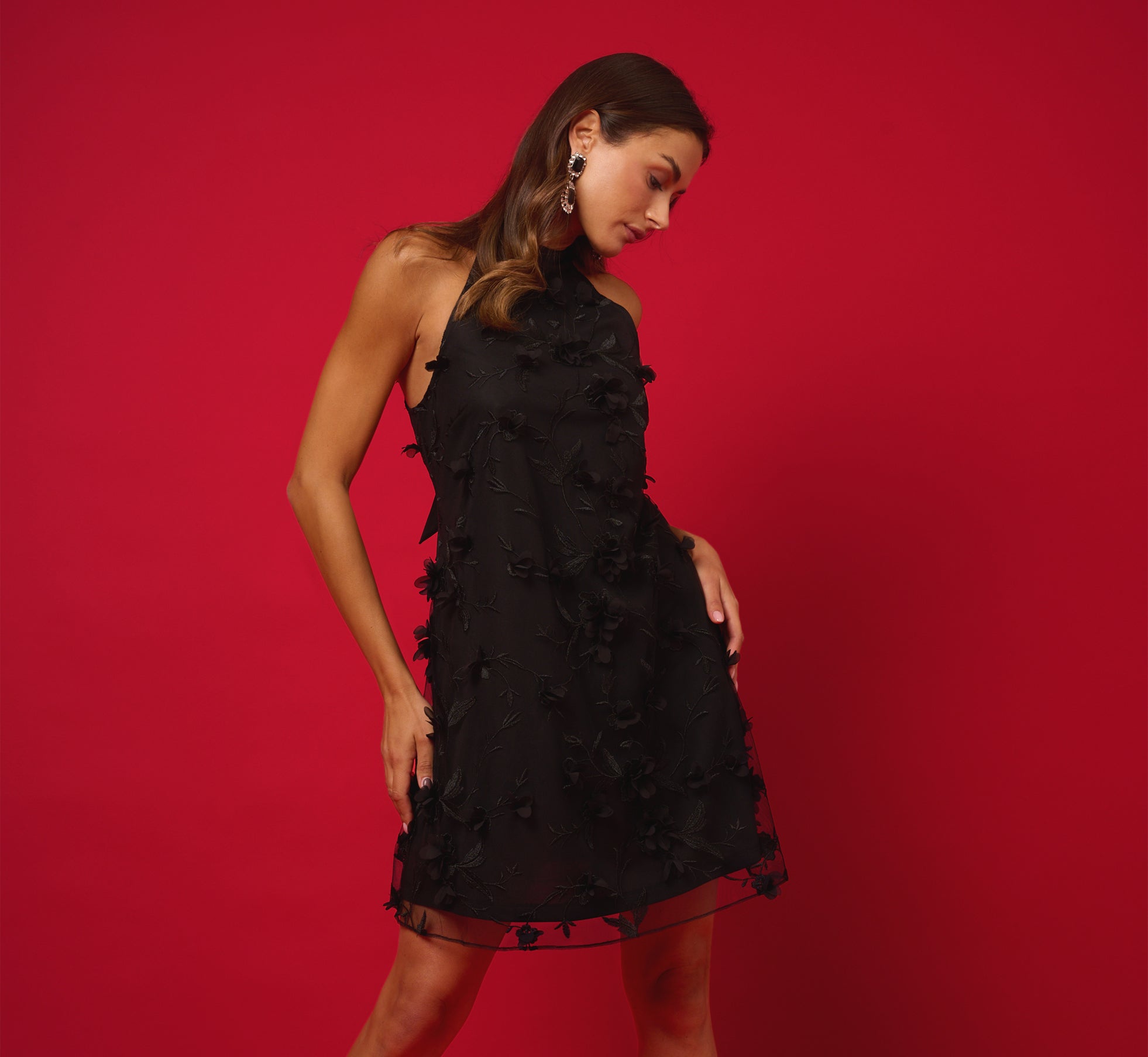 3D Floral Embroidered Trapeze Dress With Open Bow Back In Black、mySite、solidvoid