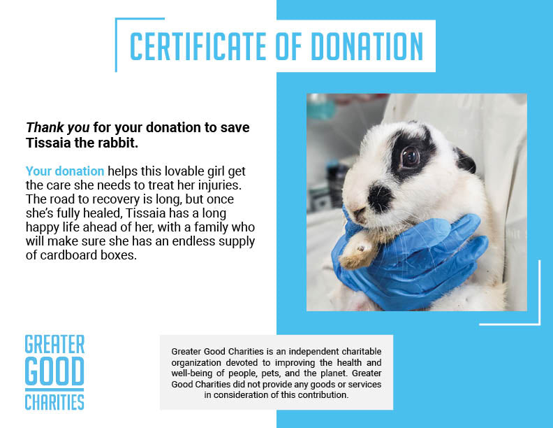 Funded: Help Tissaia the Rabbit Recover From Trauma、mySite、camillekostekn
