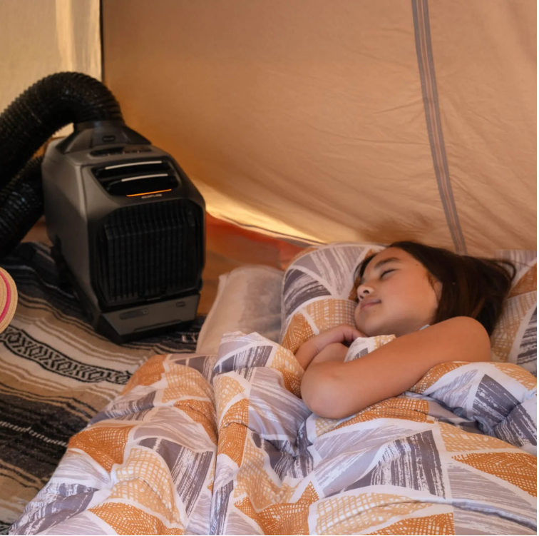 Ecoflow WAVE 3 Ar Condicionado Portátil WiFi + Bluetooth、mySite、fannypackpong