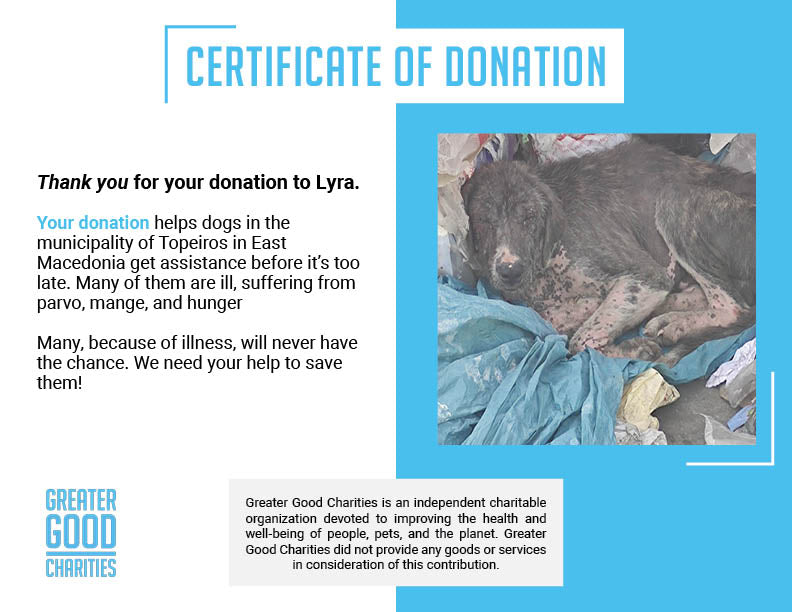 Funded: Lyra Needs Your Help to Recover From Severe Mange、mySite、camillekostekn