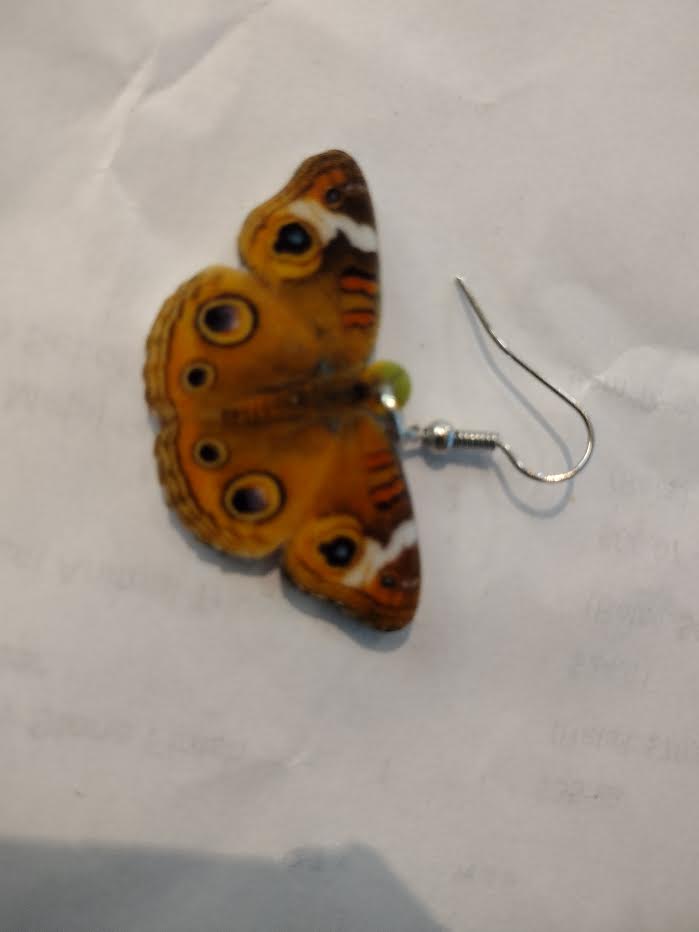 Chicken and Rooster and Bee and more Acrylic Animal Earrings、mySite、g9winljtr