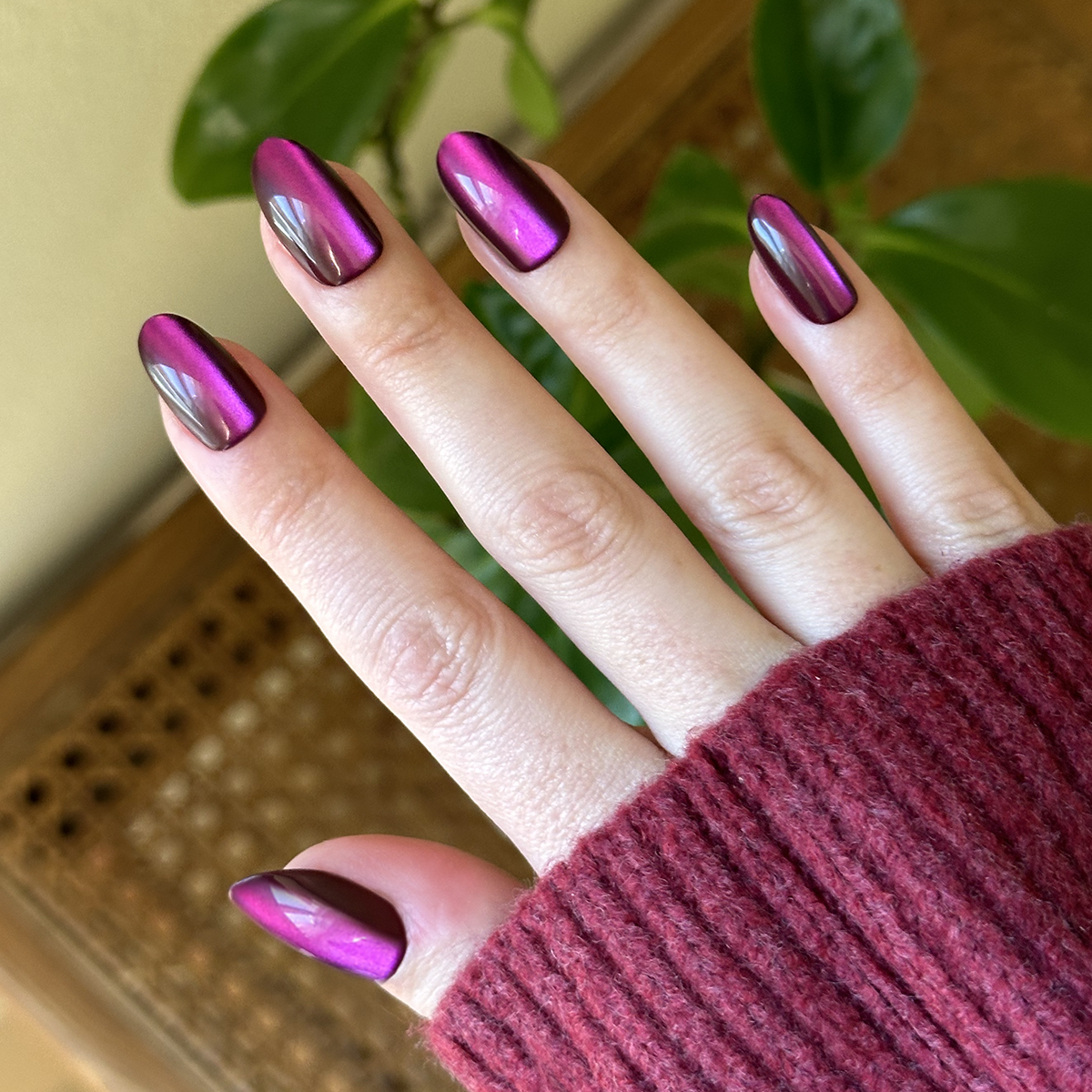 Plaza Velvet - Press-On | Medium | Oval、mySite、solidvoid