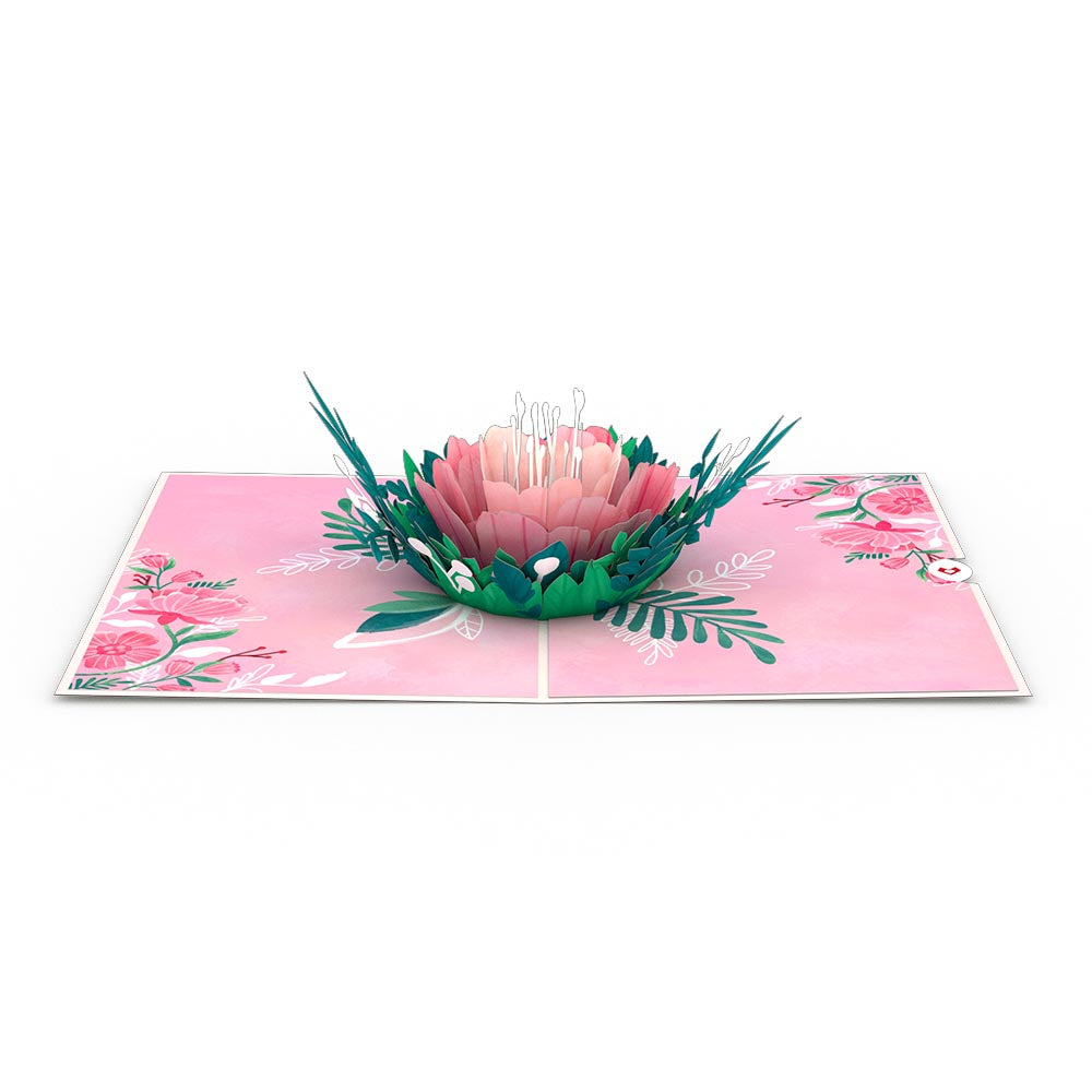 Floral 7-Pack Classic、mySite、solidvoid